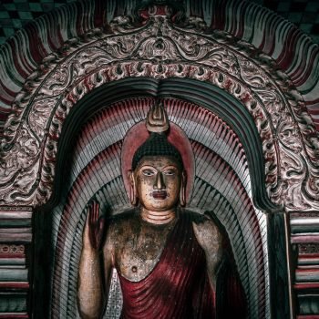 agnieszka-stankiewicz-trGtO5_lmbo-unsplash