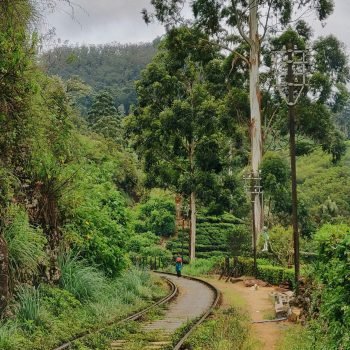 anton-lecock-hf-celRnHsw-unsplash