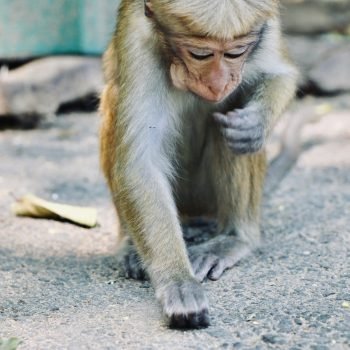 petr-sevcovic-Xts4c5SPK48-unsplash