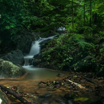 pexels-keshanvidu95-4185785