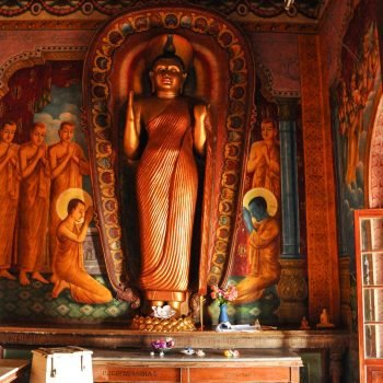 pexels-sandra-mack-1233541-2365974